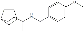 (1-{bicyclo[2.2.1]heptan-2-yl}ethyl)[(4-methoxyphenyl)methyl]amine 结构式