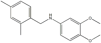 (3,4-dimethoxyphenyl)(2,4-dimethylphenyl)methylamine 结构式