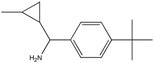 (4-tert-butylphenyl)(2-methylcyclopropyl)methanamine 结构式