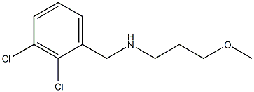 [(2,3-dichlorophenyl)methyl](3-methoxypropyl)amine 结构式