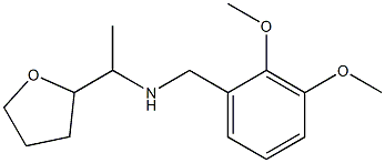 [(2,3-dimethoxyphenyl)methyl][1-(oxolan-2-yl)ethyl]amine 结构式