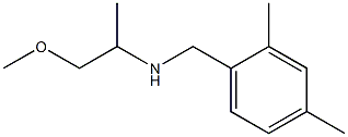 [(2,4-dimethylphenyl)methyl](1-methoxypropan-2-yl)amine 结构式