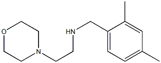 [(2,4-dimethylphenyl)methyl][2-(morpholin-4-yl)ethyl]amine 结构式