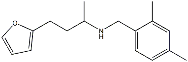 [(2,4-dimethylphenyl)methyl][4-(furan-2-yl)butan-2-yl]amine 结构式