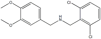[(2,6-dichlorophenyl)methyl][(3,4-dimethoxyphenyl)methyl]amine 结构式