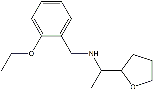 [(2-ethoxyphenyl)methyl][1-(oxolan-2-yl)ethyl]amine 结构式