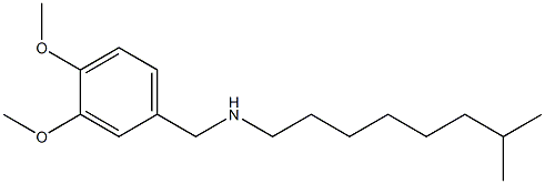 [(3,4-dimethoxyphenyl)methyl](7-methyloctyl)amine 结构式