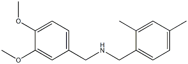 [(3,4-dimethoxyphenyl)methyl][(2,4-dimethylphenyl)methyl]amine 结构式