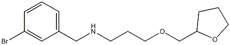 [(3-bromophenyl)methyl][3-(oxolan-2-ylmethoxy)propyl]amine 结构式