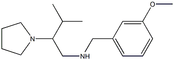 [(3-methoxyphenyl)methyl][3-methyl-2-(pyrrolidin-1-yl)butyl]amine 结构式