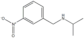 [(3-nitrophenyl)methyl](propan-2-yl)amine 结构式