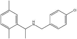 [(4-chlorophenyl)methyl][1-(2,5-dimethylphenyl)ethyl]amine 结构式