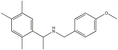 [(4-methoxyphenyl)methyl][1-(2,4,5-trimethylphenyl)ethyl]amine 结构式