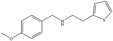 [(4-methoxyphenyl)methyl][2-(thiophen-2-yl)ethyl]amine 结构式