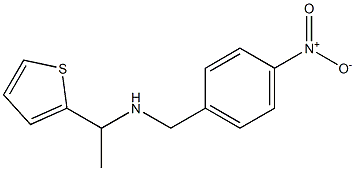 [(4-nitrophenyl)methyl][1-(thiophen-2-yl)ethyl]amine 结构式