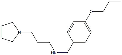 [(4-propoxyphenyl)methyl][3-(pyrrolidin-1-yl)propyl]amine 结构式