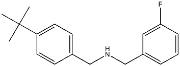 [(4-tert-butylphenyl)methyl][(3-fluorophenyl)methyl]amine 结构式