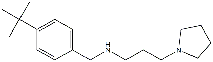 [(4-tert-butylphenyl)methyl][3-(pyrrolidin-1-yl)propyl]amine 结构式