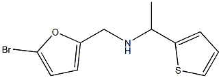 [(5-bromofuran-2-yl)methyl][1-(thiophen-2-yl)ethyl]amine 结构式