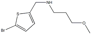 [(5-bromothiophen-2-yl)methyl](3-methoxypropyl)amine 结构式