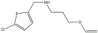 [(5-chlorothiophen-2-yl)methyl][3-(ethenyloxy)propyl]amine 结构式