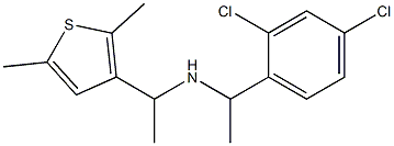 [1-(2,4-dichlorophenyl)ethyl][1-(2,5-dimethylthiophen-3-yl)ethyl]amine 结构式