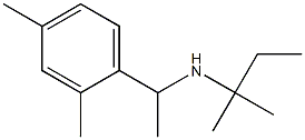 [1-(2,4-dimethylphenyl)ethyl](2-methylbutan-2-yl)amine 结构式