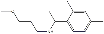 [1-(2,4-dimethylphenyl)ethyl](3-methoxypropyl)amine 结构式