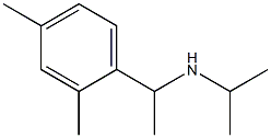 [1-(2,4-dimethylphenyl)ethyl](propan-2-yl)amine 结构式