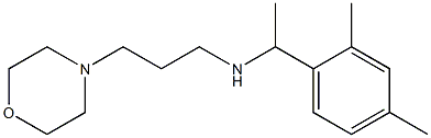 [1-(2,4-dimethylphenyl)ethyl][3-(morpholin-4-yl)propyl]amine 结构式