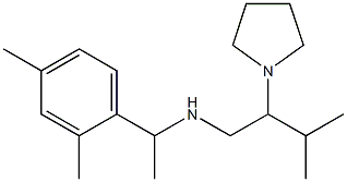 [1-(2,4-dimethylphenyl)ethyl][3-methyl-2-(pyrrolidin-1-yl)butyl]amine 结构式