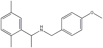 [1-(2,5-dimethylphenyl)ethyl][(4-methoxyphenyl)methyl]amine 结构式