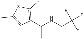 [1-(2,5-dimethylthiophen-3-yl)ethyl](2,2,2-trifluoroethyl)amine 结构式