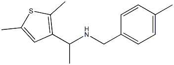 [1-(2,5-dimethylthiophen-3-yl)ethyl][(4-methylphenyl)methyl]amine 结构式