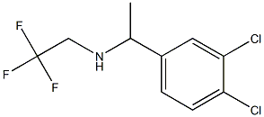 [1-(3,4-dichlorophenyl)ethyl](2,2,2-trifluoroethyl)amine 结构式