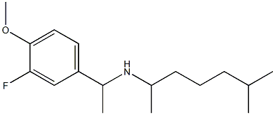 [1-(3-fluoro-4-methoxyphenyl)ethyl](6-methylheptan-2-yl)amine 结构式