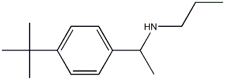 [1-(4-tert-butylphenyl)ethyl](propyl)amine 结构式