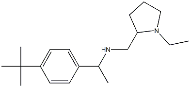 [1-(4-tert-butylphenyl)ethyl][(1-ethylpyrrolidin-2-yl)methyl]amine 结构式