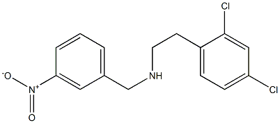 [2-(2,4-dichlorophenyl)ethyl][(3-nitrophenyl)methyl]amine 结构式