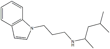 [3-(1H-indol-1-yl)propyl](4-methylpentan-2-yl)amine 结构式