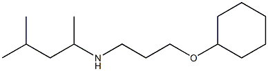 [3-(cyclohexyloxy)propyl](4-methylpentan-2-yl)amine 结构式