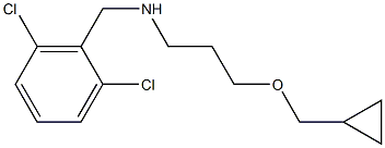 [3-(cyclopropylmethoxy)propyl][(2,6-dichlorophenyl)methyl]amine 结构式