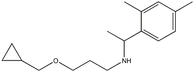 [3-(cyclopropylmethoxy)propyl][1-(2,4-dimethylphenyl)ethyl]amine 结构式