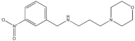 [3-(morpholin-4-yl)propyl][(3-nitrophenyl)methyl]amine 结构式