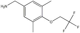 [3,5-dimethyl-4-(2,2,2-trifluoroethoxy)phenyl]methanamine 结构式