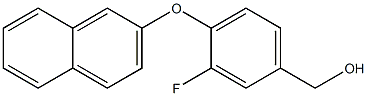 [3-fluoro-4-(naphthalen-2-yloxy)phenyl]methanol 结构式