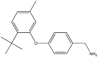 [4-(2-tert-butyl-5-methylphenoxy)phenyl]methanamine 结构式