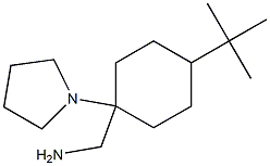 [4-tert-butyl-1-(pyrrolidin-1-yl)cyclohexyl]methanamine 结构式