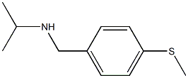 {[4-(methylsulfanyl)phenyl]methyl}(propan-2-yl)amine 结构式