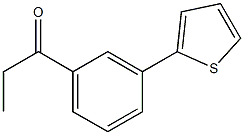 1-(3-thien-2-ylphenyl)propan-1-one 结构式